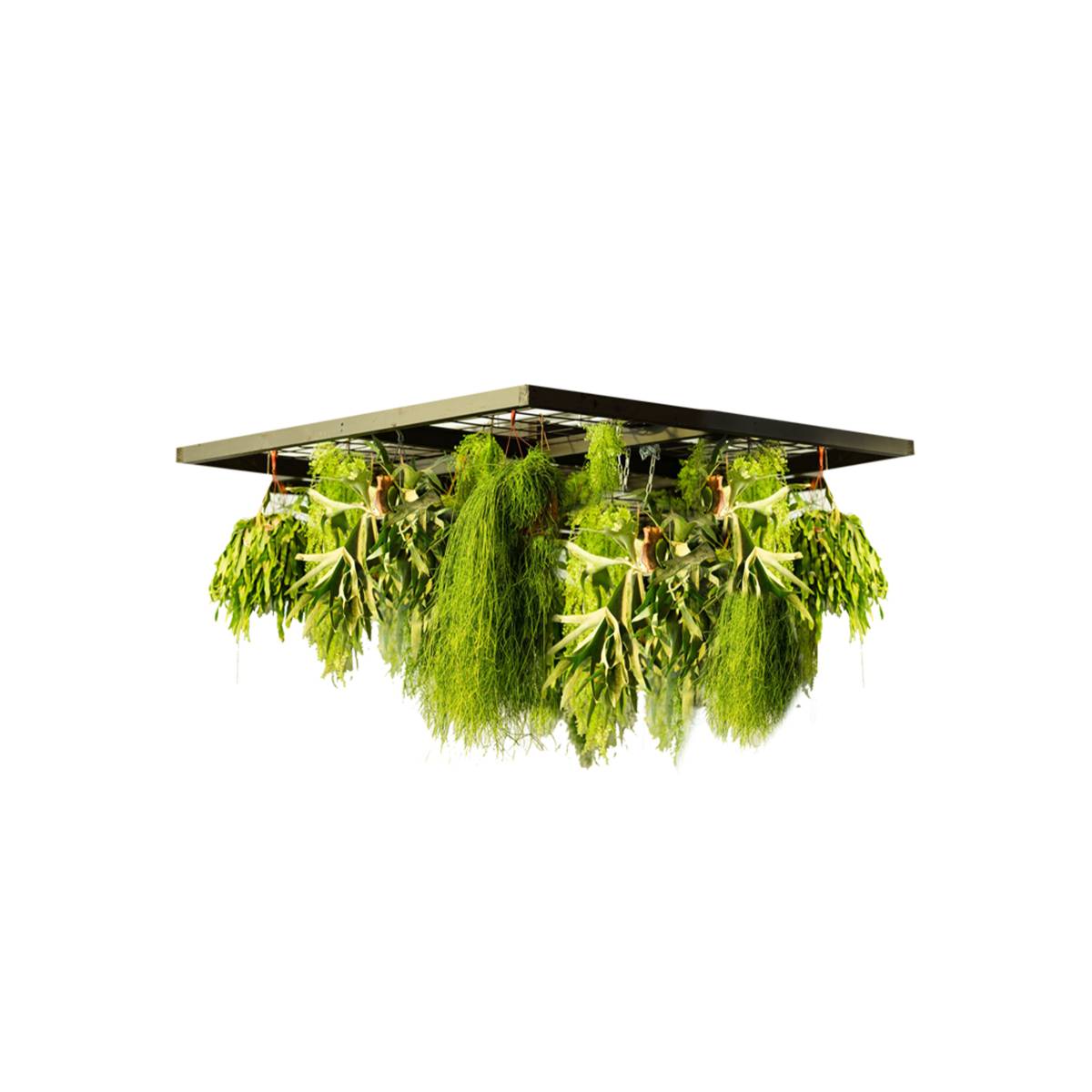 Hangend decoratieframe